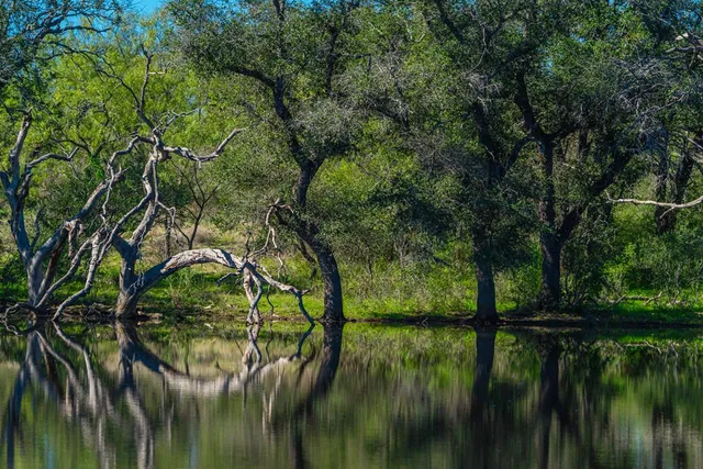 $7,538,400 | 1263 County Road 102, Llano, TX 78643