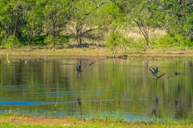 $7,538,400 | 1263 County Road 102, Llano, TX 78643