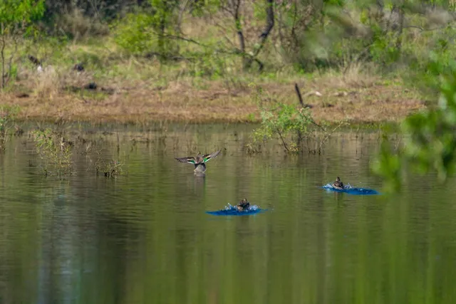 $7,538,400 | 1263 County Road 102, Llano, TX 78643