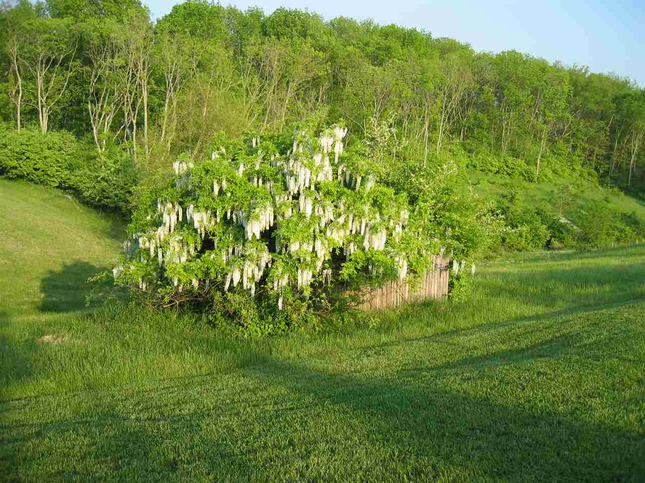 8838 Locust Grove Road Burlington, KY 41005 - Photo 46 of 48 Gallery Image 46