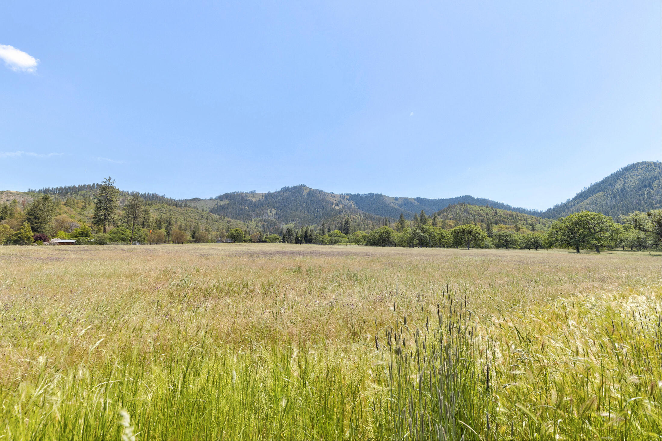 240 Haven Road Jacksonville, OR 97530 - Photo 35 of 54 View South