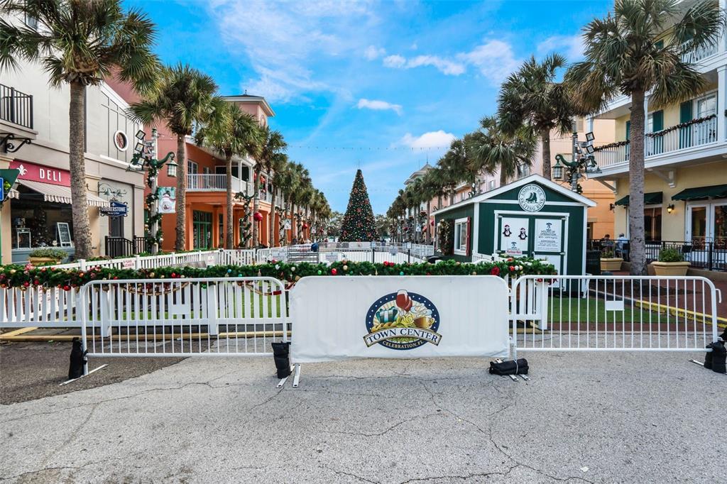 159 Longview Avenue Celebration, FL 34747 - Photo 38 of 38