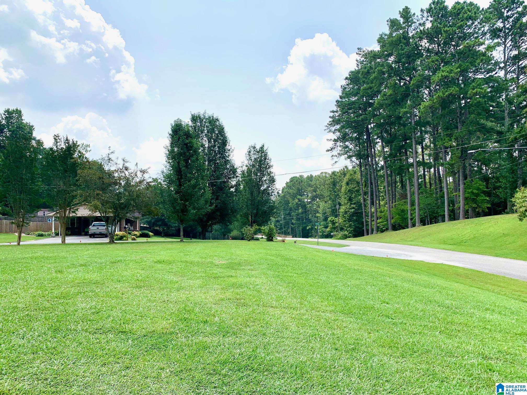 201 Town Creek Road Heflin, AL 36264 - Photo 11 of 36 Gallery Image 11