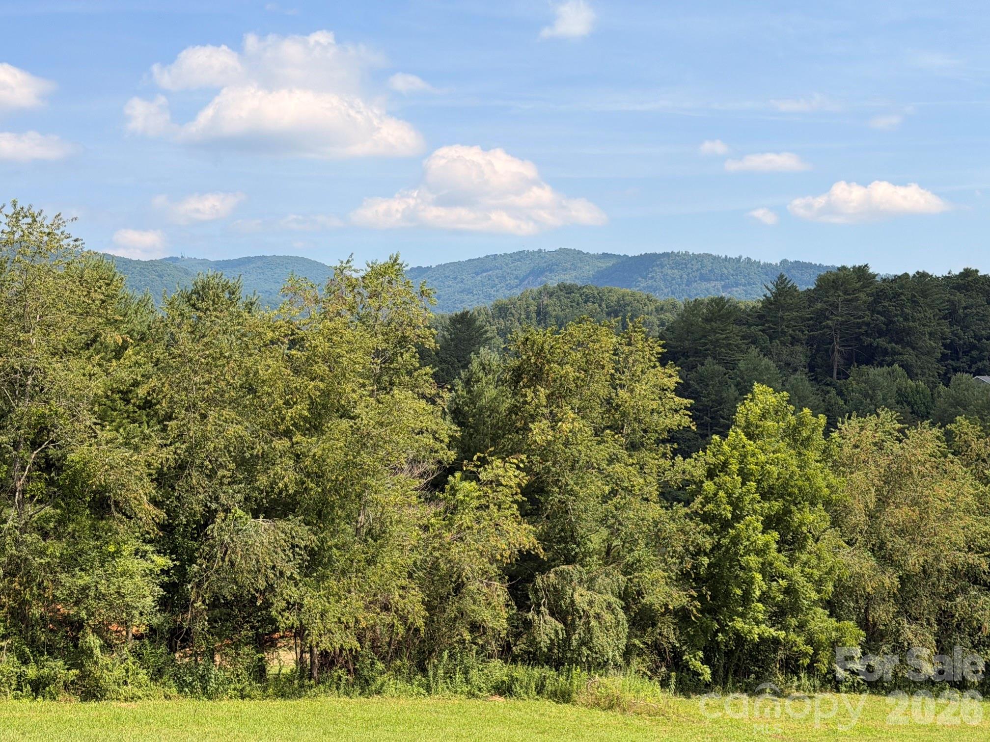 82 Sharon Road Fairview, NC 28730 - Photo 7 of 37 Gallery Image 7