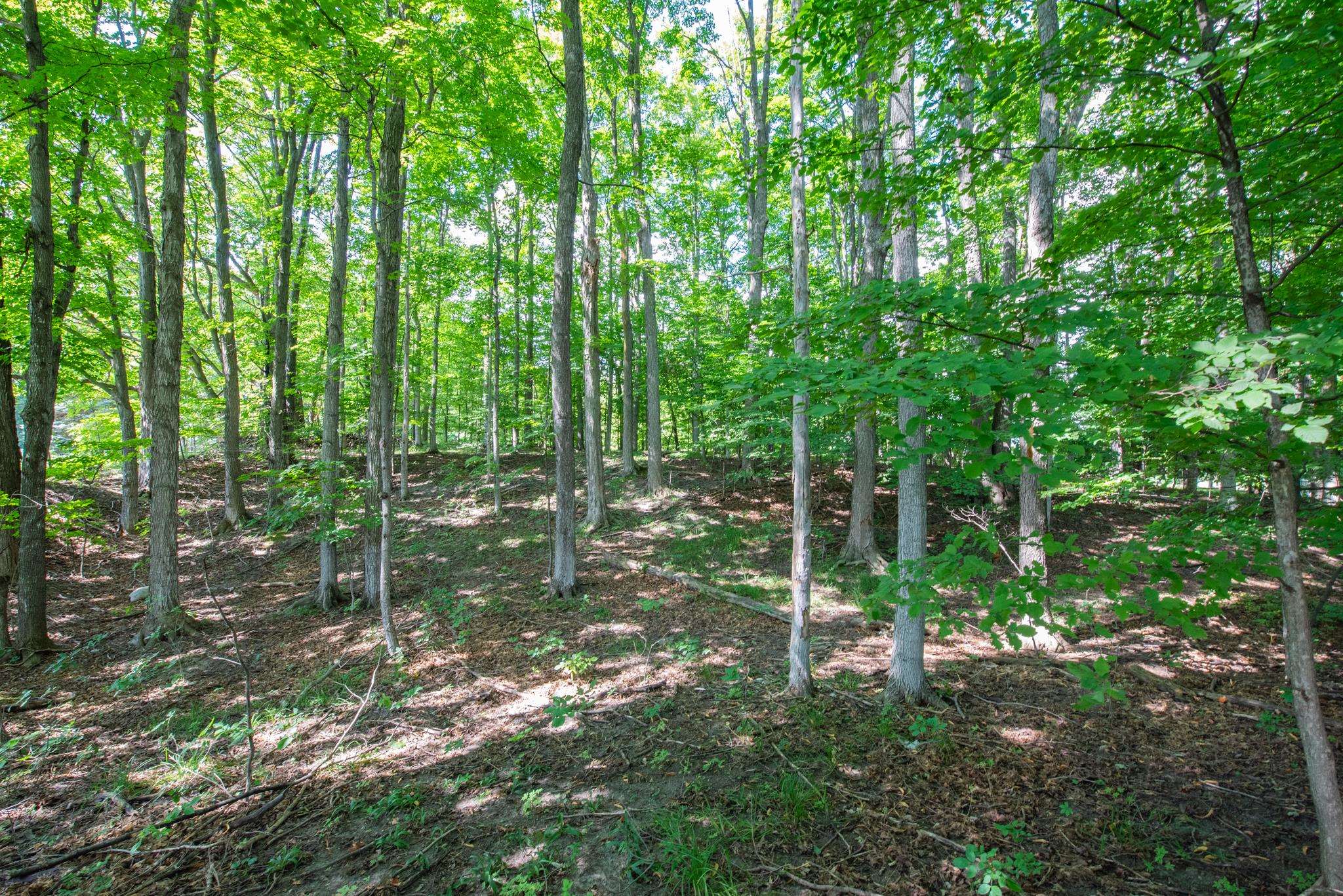 3300 Zimmerman Road Traverse City, MI 49685 - Photo 11 of 36