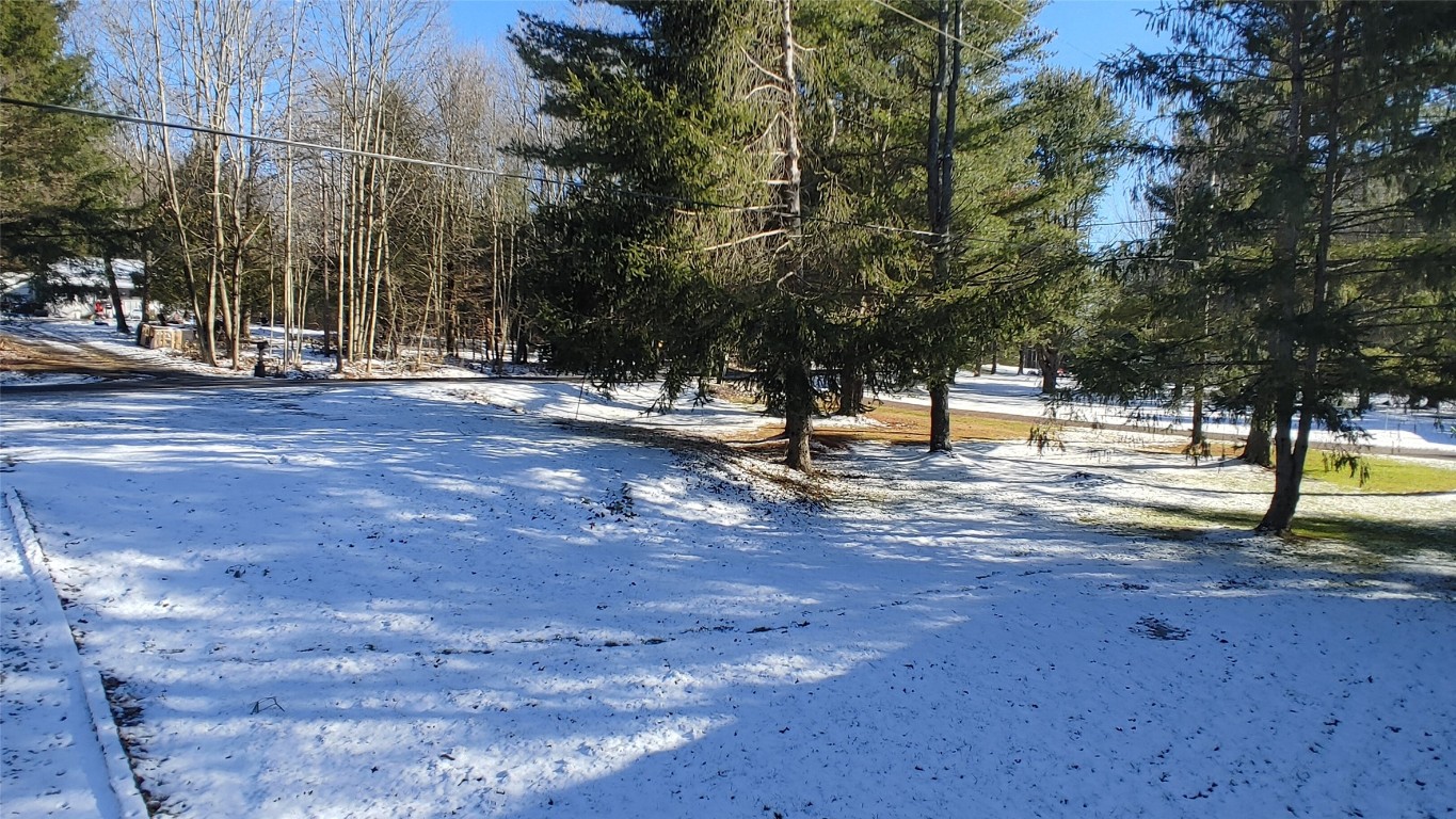 295 Stein Road Greene, NY 13746 - Photo 16 of 16