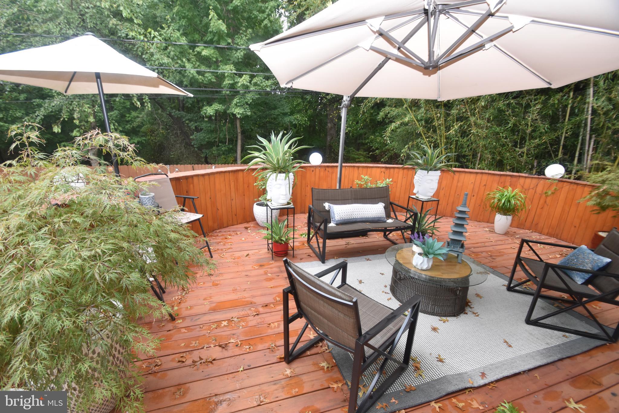 145 West Rutherford Drive Newark, DE 19713 - Photo 25 of 50 LARGE DECK overlooks back yard
