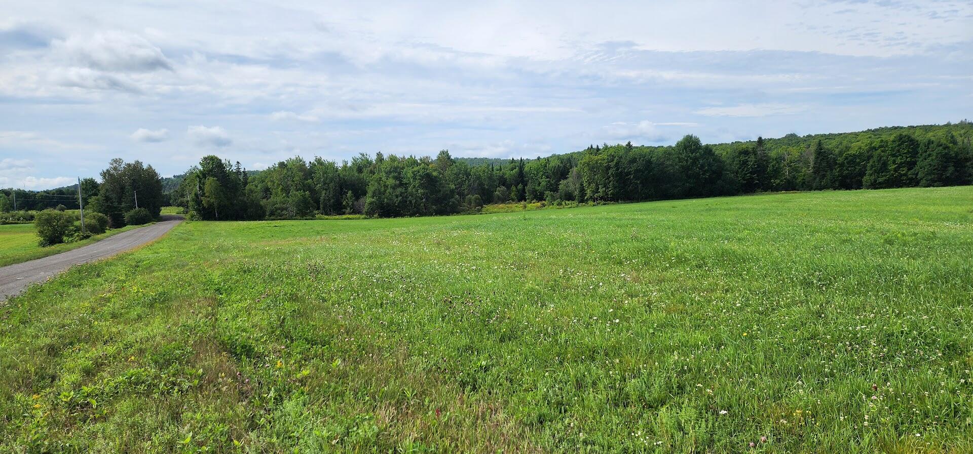 176 Rebel Hill Road Merrill, ME 04780 - Photo 5 of 29 20240806_094934