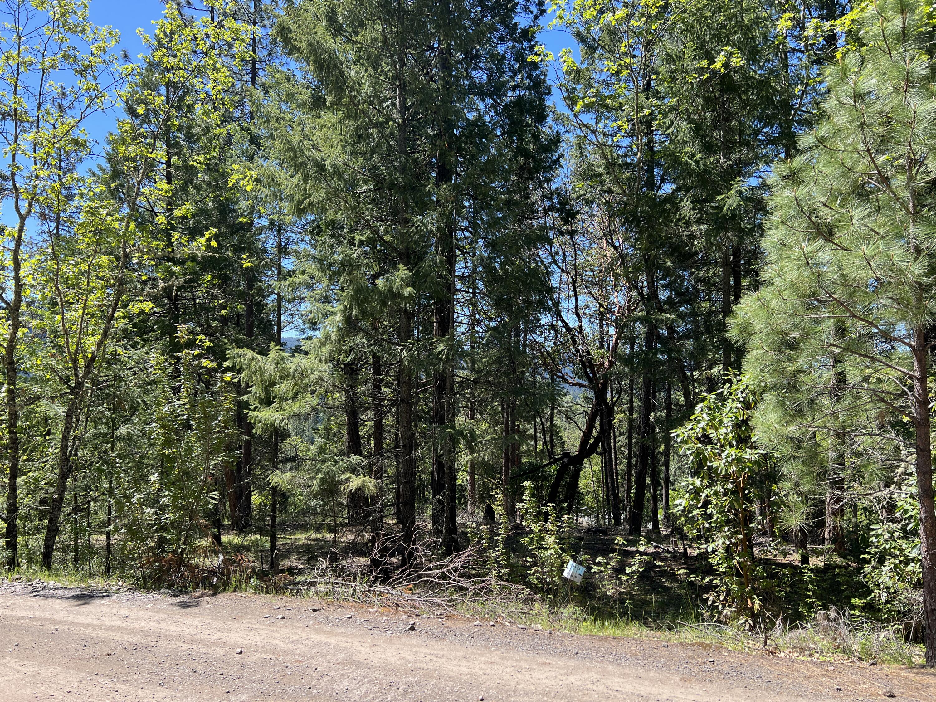 348 Flounce Rock Road Prospect, OR 97536 - Photo 2 of 12 IMG_2287