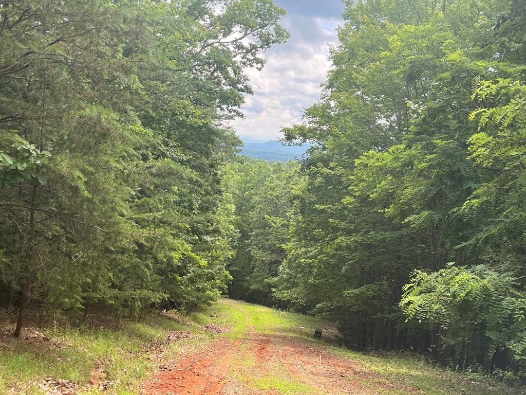 Lot 49 Burger Road Murphy, NC 28906 - Photo 7 of 7