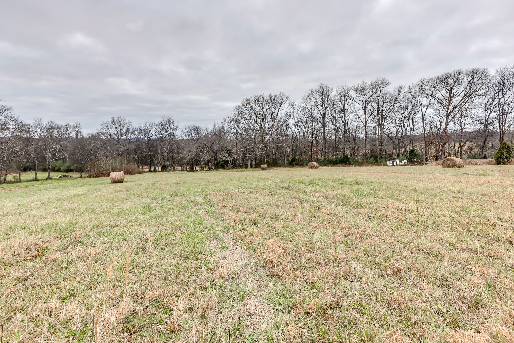 6635 Eudailey-Covington Road College Grove, TN 37046 - Photo 8 of 50 Gallery Image 8