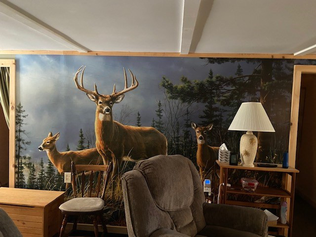 94 Goodnow Flow Road Newcomb, NY 12852 - Photo 20 of 25 Gallery Image 20