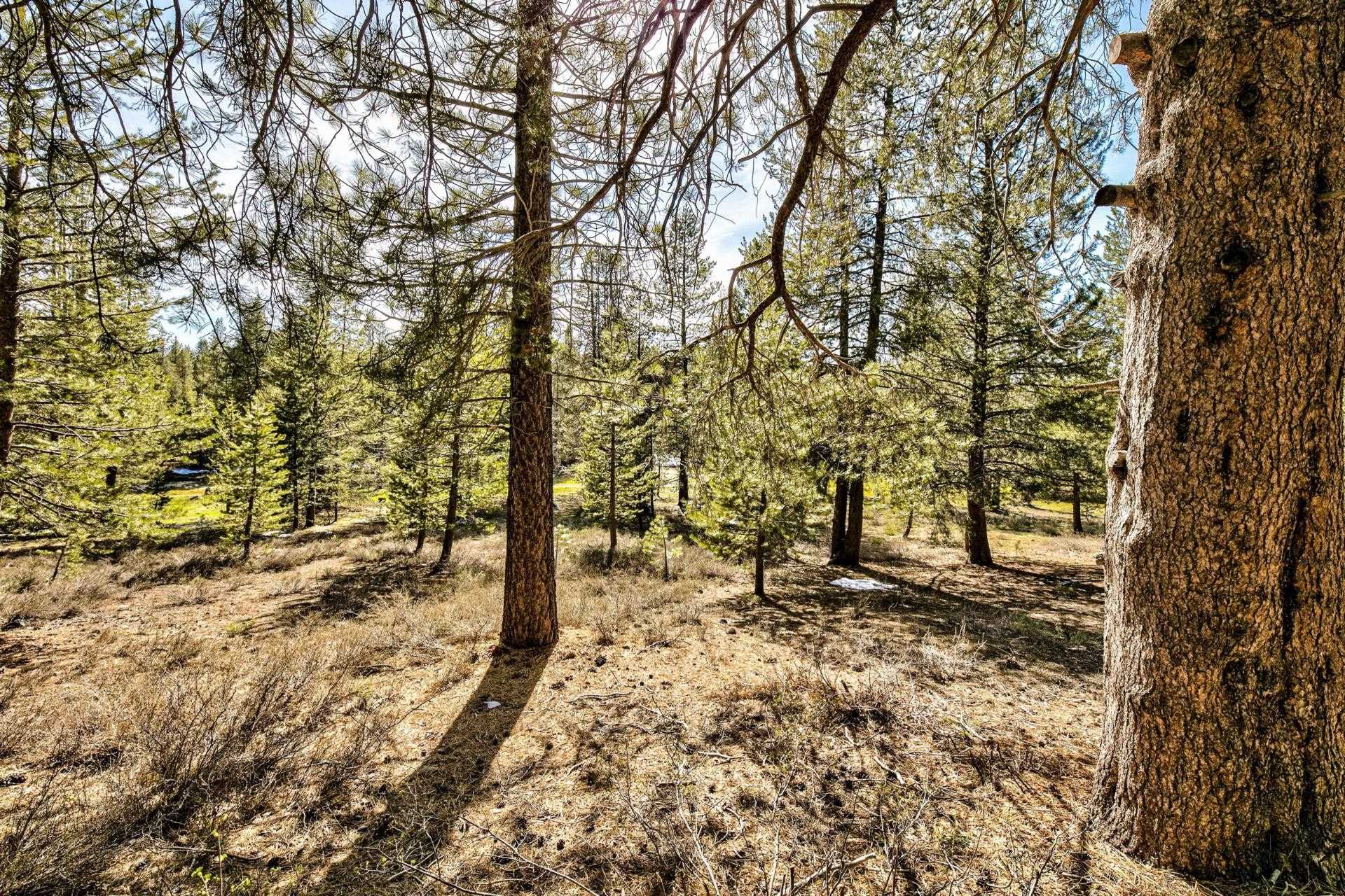 11224 Bennett Flat Road Truckee, CA 96161 - Photo 5 of 18 Gallery Image 5