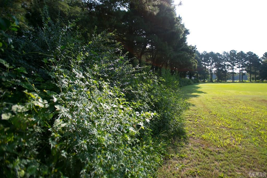 733 Ryland Road Belvidere, NC 27919 - Photo 10 of 38 Gallery Image 10