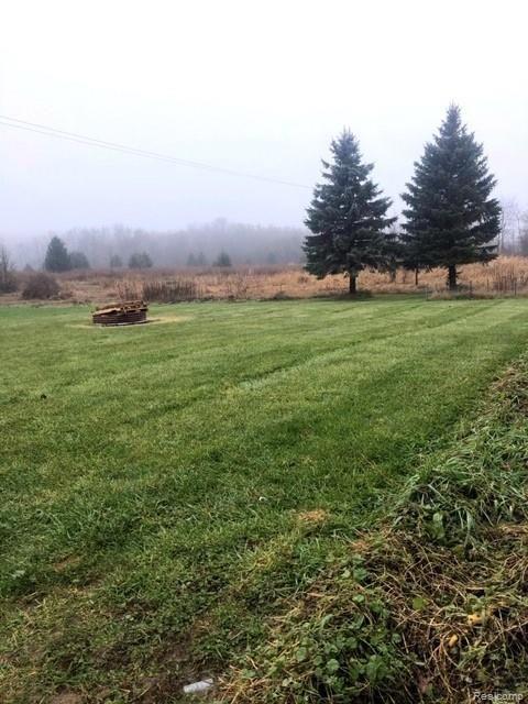5650 East Allen Road Howell, MI 48855 - Photo 13 of 21 allen rd back yard.jpeg
