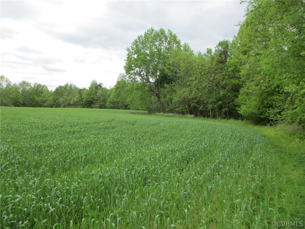 395 Cabin Point Road Spring Grove, VA 23881 - Photo 1 of 5 Gallery Image 1