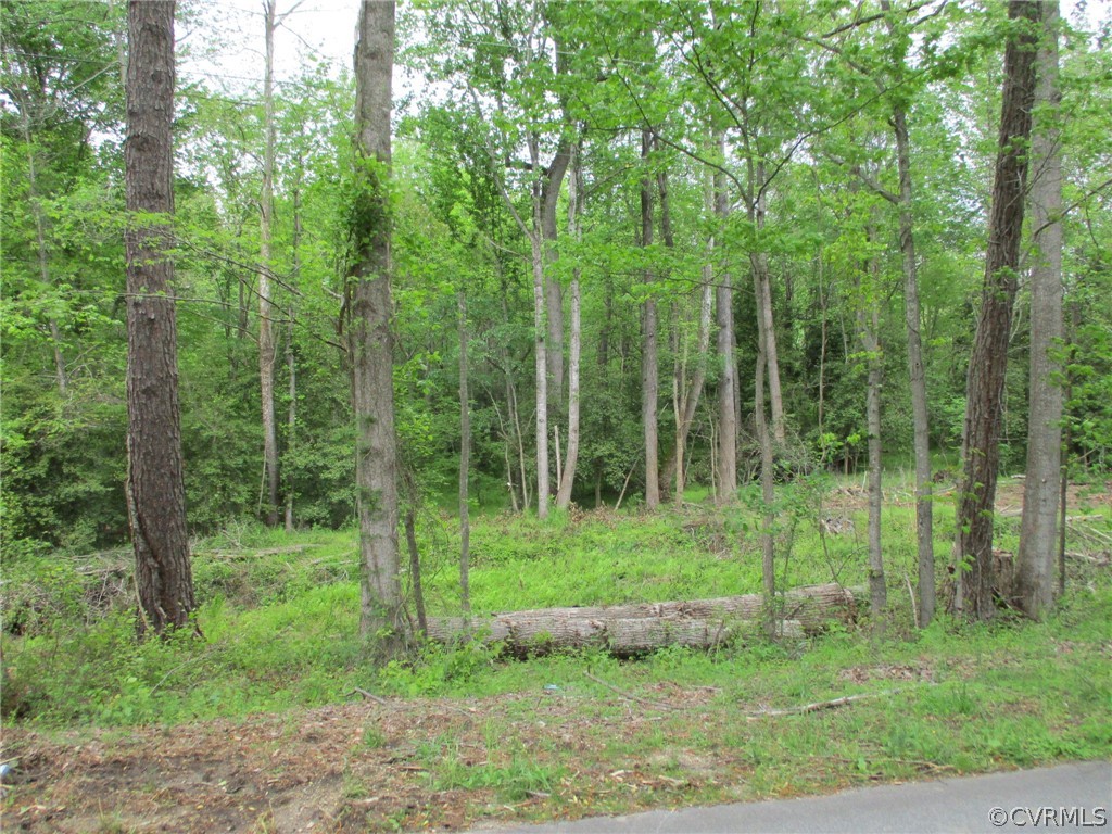 395 Cabin Point Road Spring Grove, VA 23881 - Photo 4 of 5 Gallery Image 4
