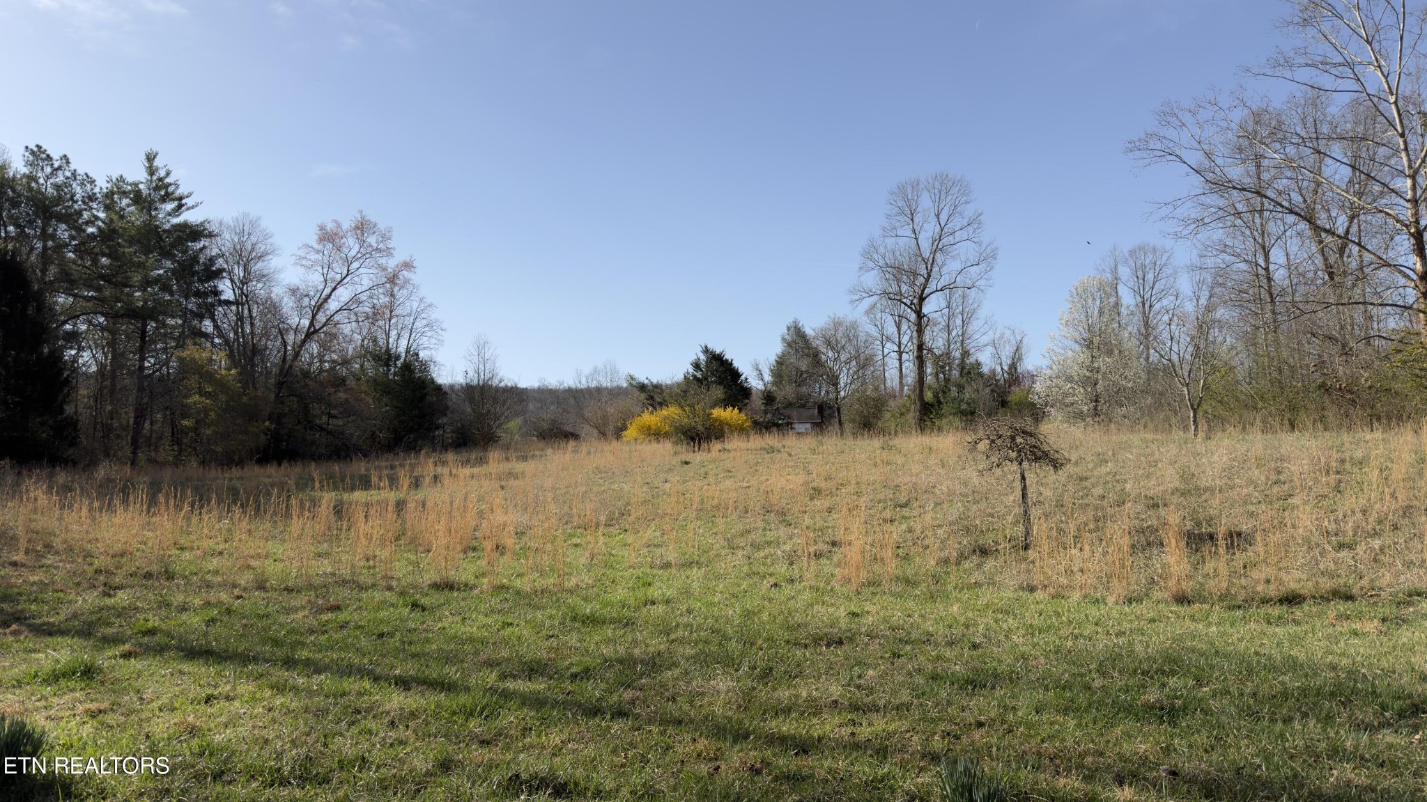 577 Blizzard Mines Road Harriman, TN 37748 - Photo 34 of 41 Gallery Image 34
