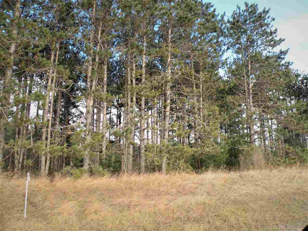 80-acres 80-acres French Line Road Applegate, MI 48401 - Photo 4 of 5