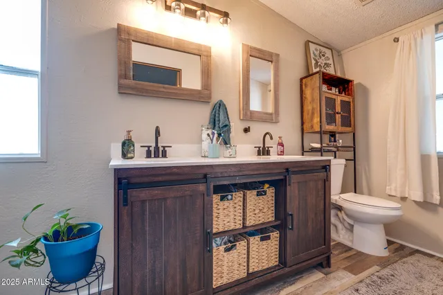 a bathroom with a sink a toilet and mirror