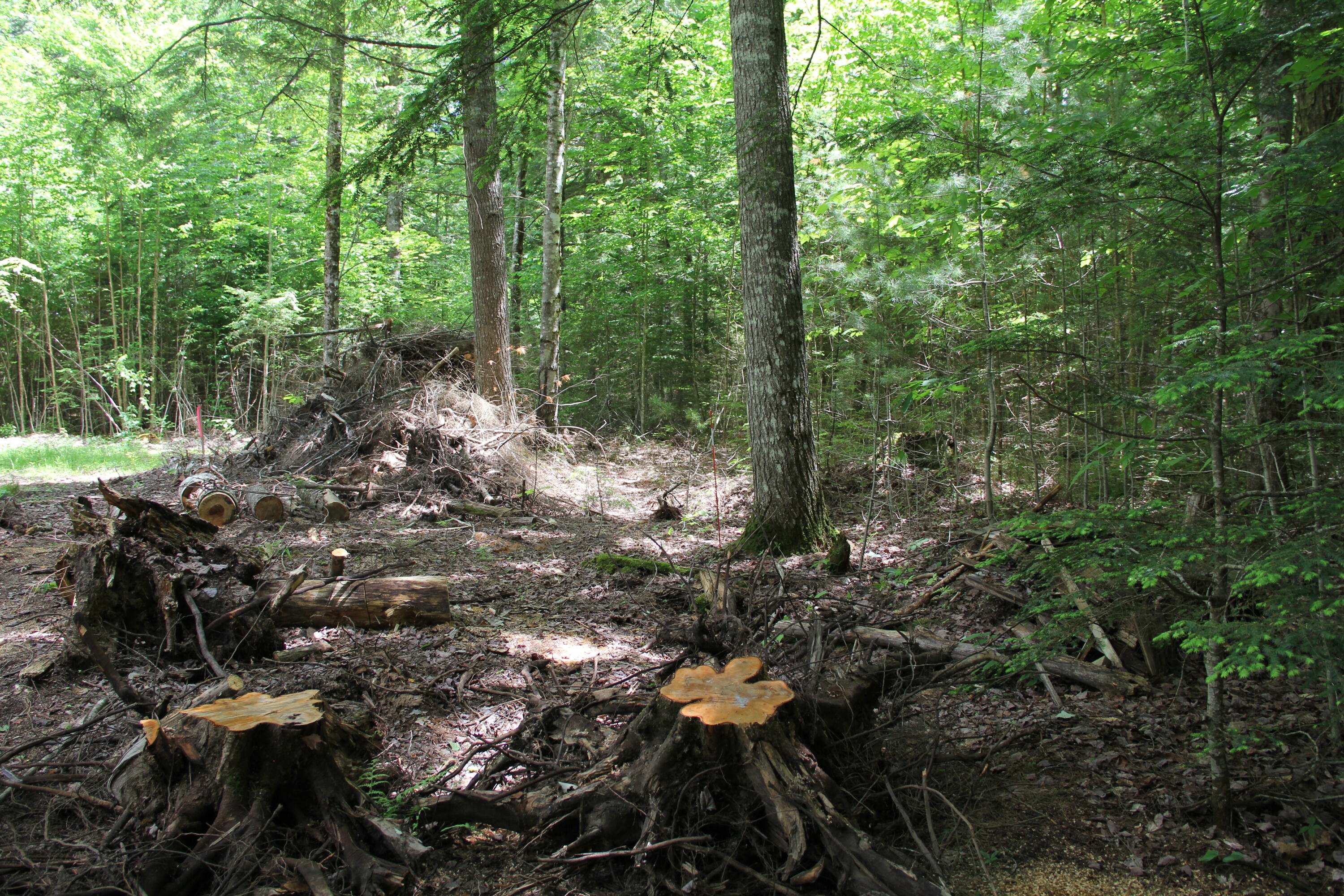 Lot 41 Salmon Road Madison, ME 04950 - Photo 5 of 6
