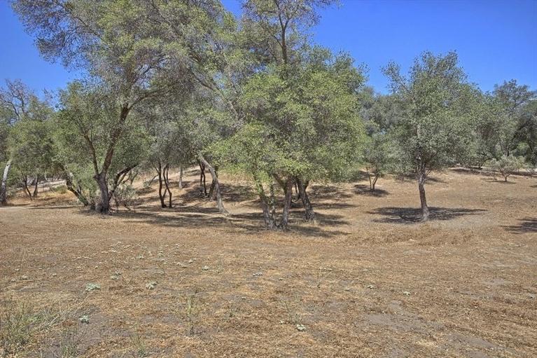 34376 Stone Ridge Lane Coarsegold, CA 93614 - Photo 2 of 35 Gallery Image 2