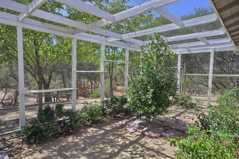 34376 Stone Ridge Lane Coarsegold, CA 93614 - Photo 21 of 35 Gallery Image 21