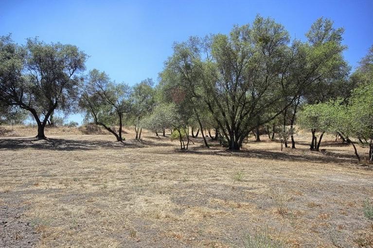 34376 Stone Ridge Lane Coarsegold, CA 93614 - Photo 33 of 35 Gallery Image 33