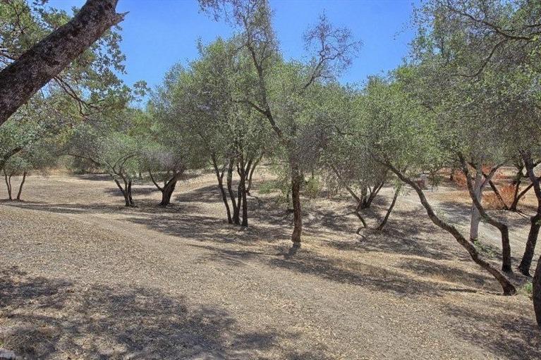 34376 Stone Ridge Lane Coarsegold, CA 93614 - Photo 34 of 35 Gallery Image 34