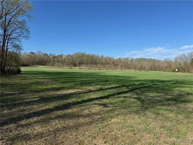 a view of a grassy field with trees in the background