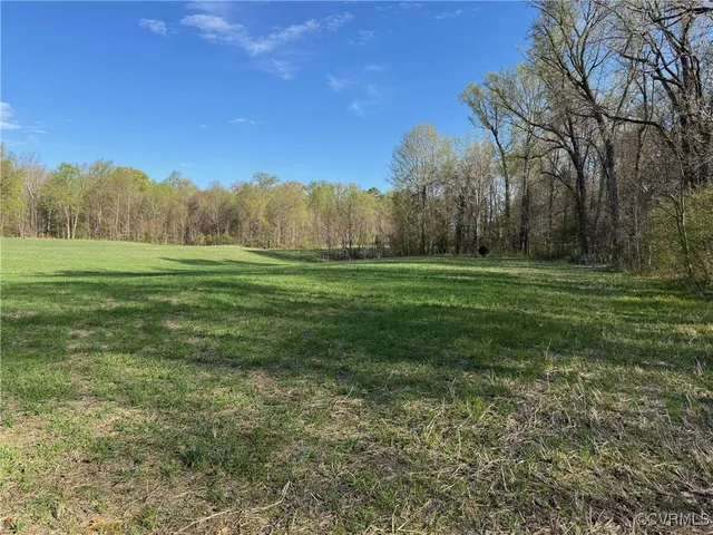 a view of a grassy field with trees in the background