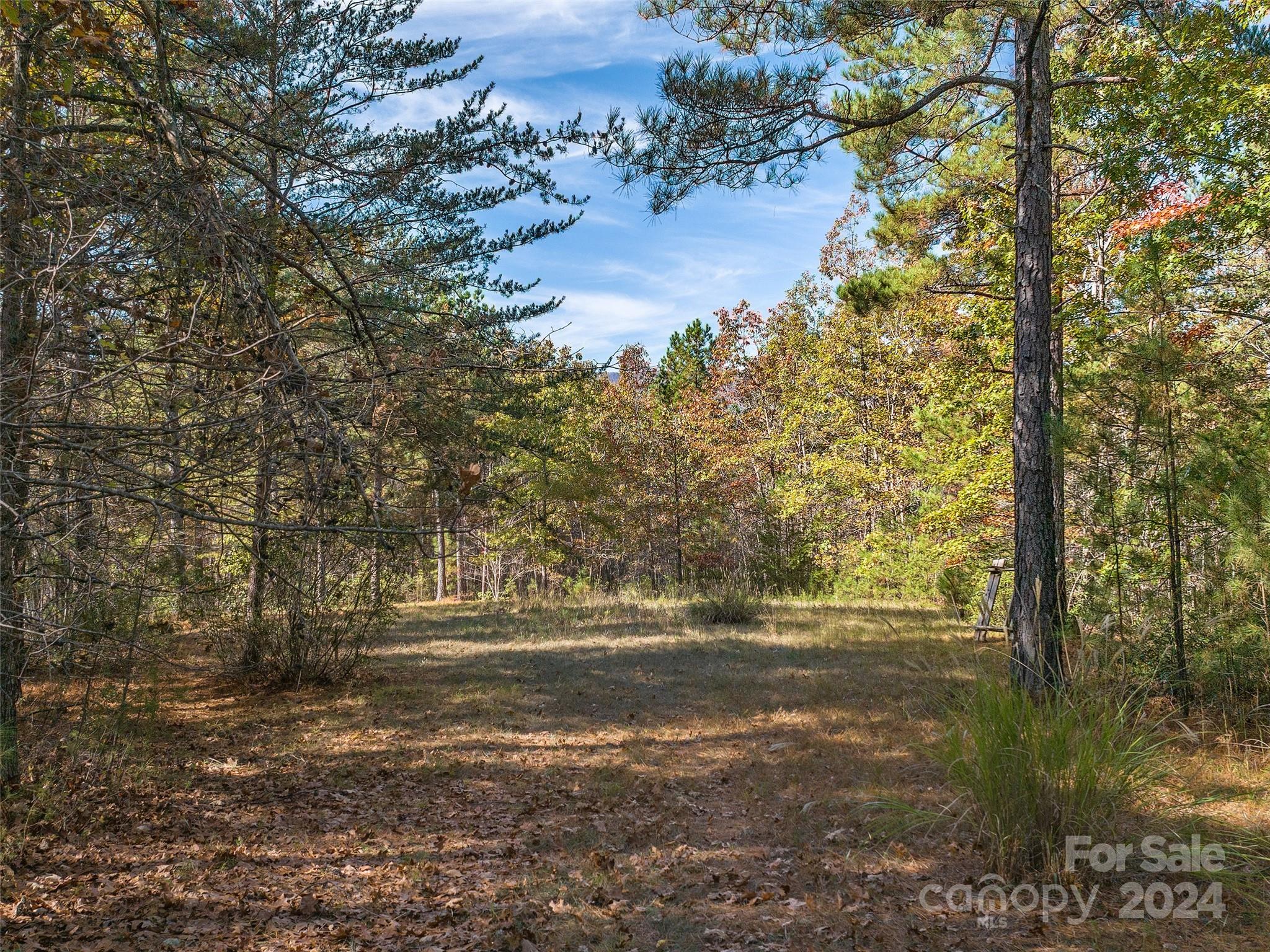 0 River Park Lane, Unit 27 Mill Spring, NC 28756 - Photo 3 of 11 a view of lake view