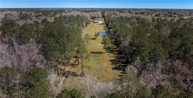 51131 Highway 445 Loranger, LA 70446 - Photo 39 of 45