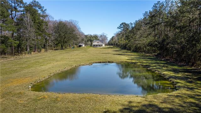 51131 Highway 445 Loranger, LA 70446 - Photo 41 of 45