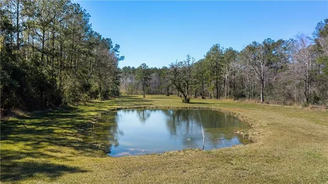 $595,000 | 51131 Highway 445, Loranger, LA 70446