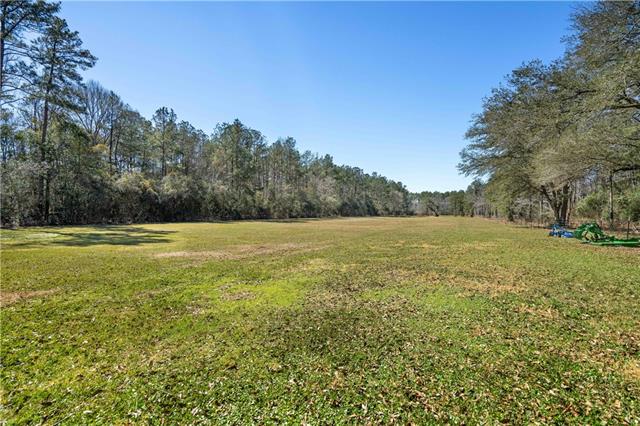 51131 Highway 445 Loranger, LA 70446 - Photo 45 of 45