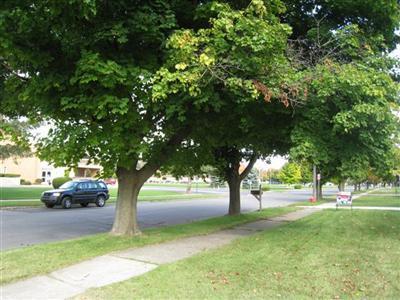 624 South Douglas Avenue Three Rivers, MI 49093 - Photo 2 of 21 Additional Photo