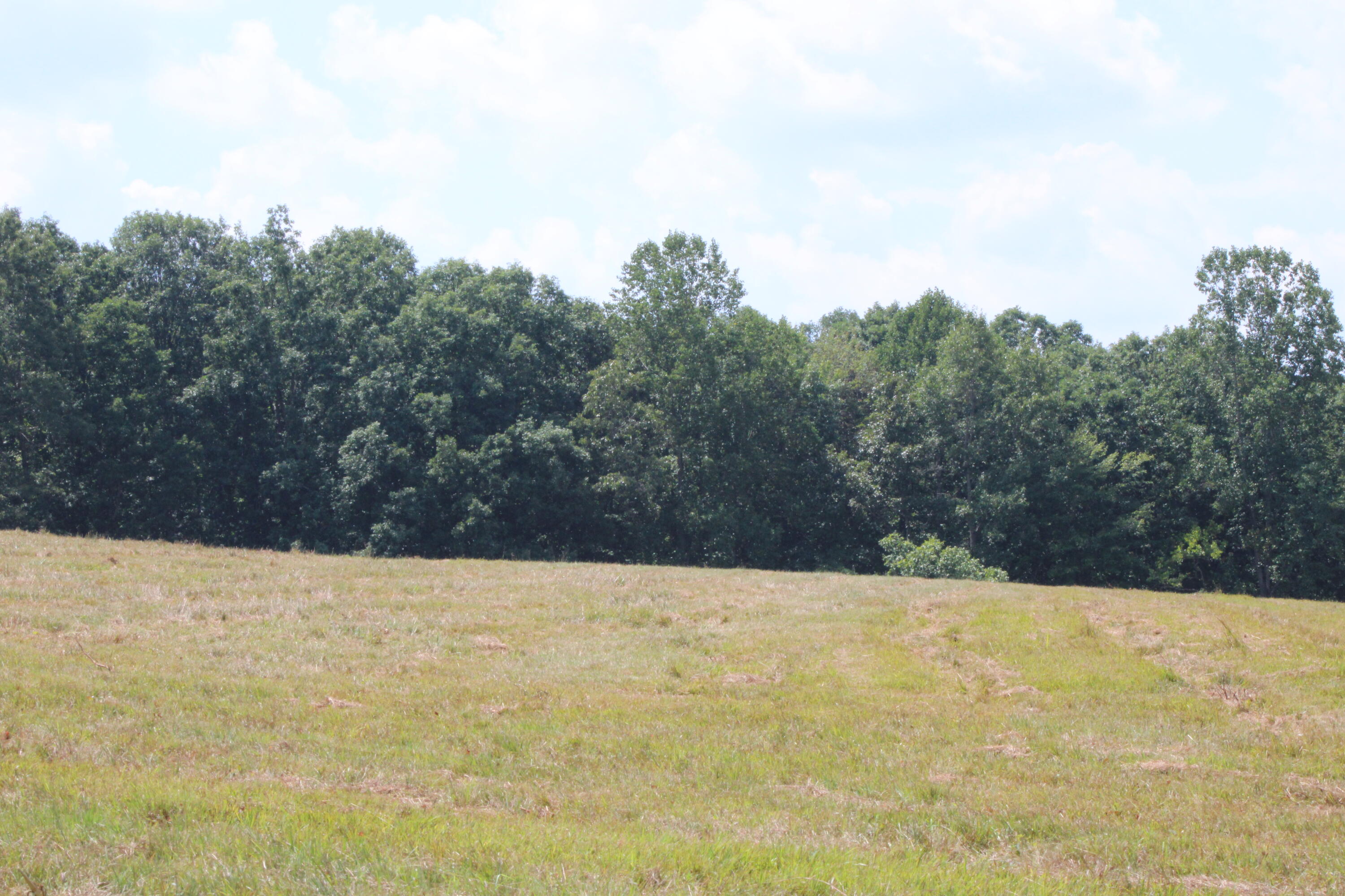 2816 Johns Creek Road New Castle, VA 24127 - Photo 10 of 96 IMG_0101