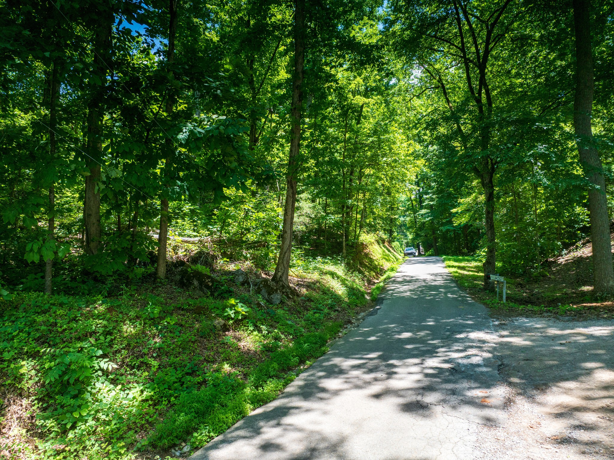1175 McGhee Road Greenback, TN 37742 - Photo 6 of 31
