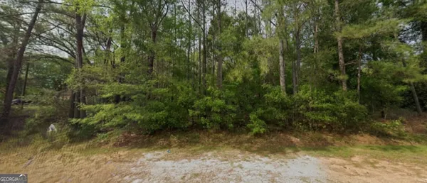 a view of a yard with lots of trees