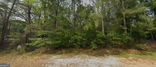 $17,900 | 154 Broach Avenue, Albany, GA 31705