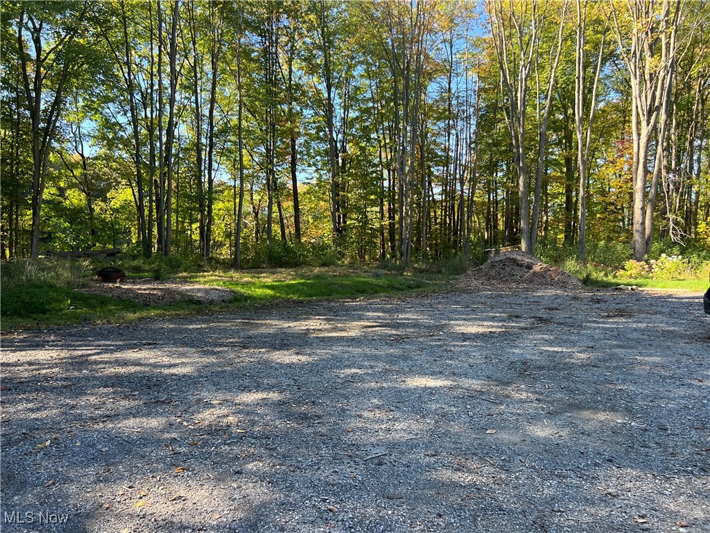 8625 Bainbridge Road Chagrin Falls, OH 44023 - Photo 12 of 20 View of street with a forest view