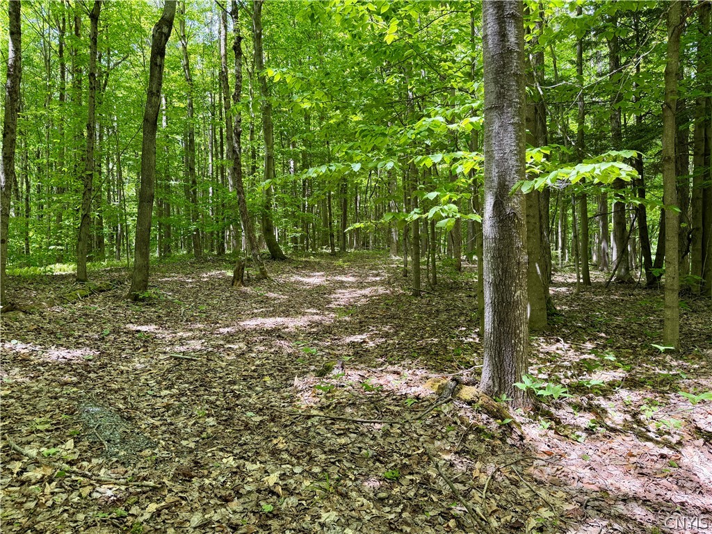 6229 Isenecker Road Leyden, NY 13309 - Photo 37 of 44 another path