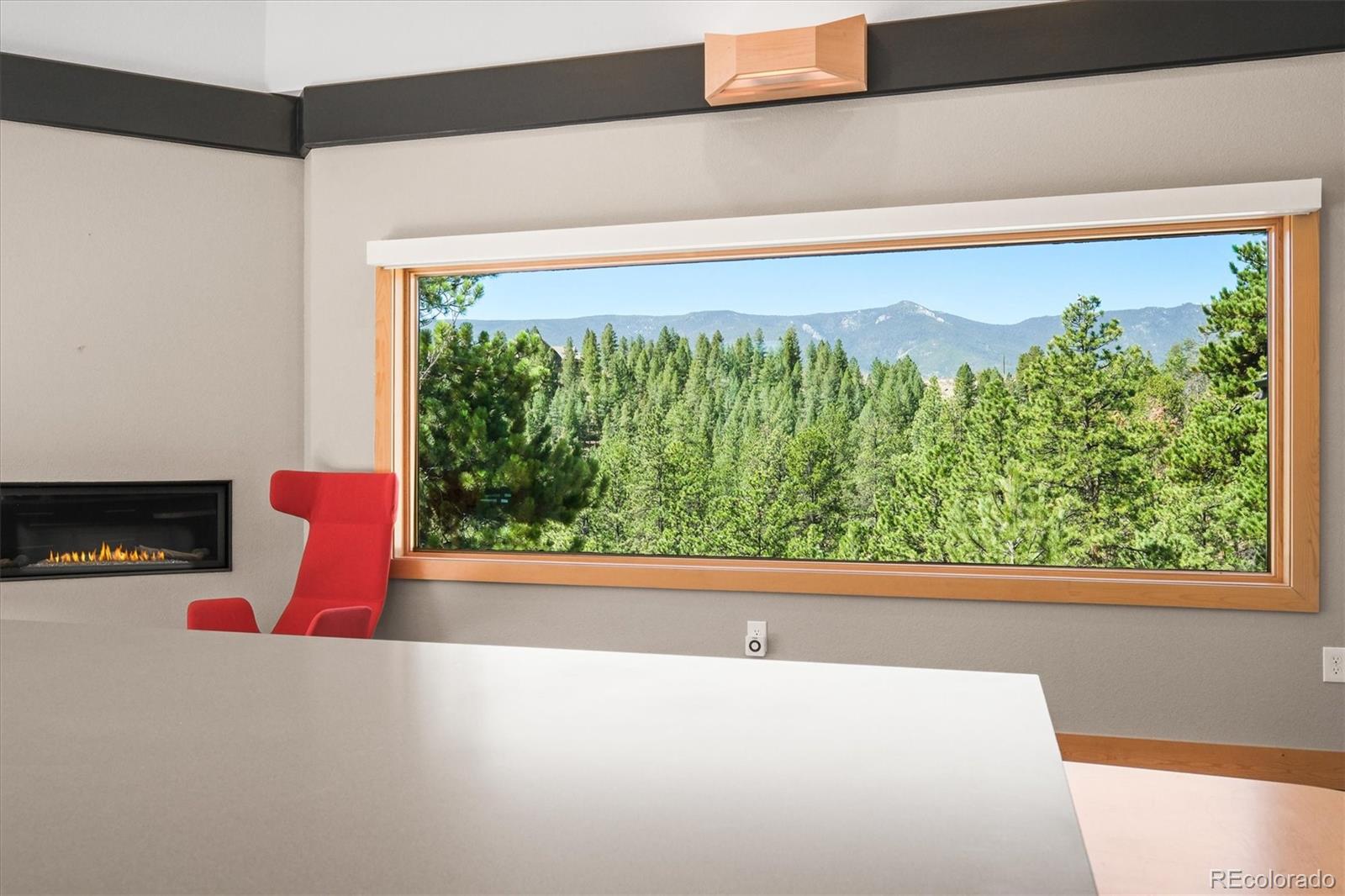 682 Buddy Road Bailey, CO 80421 - Photo 8 of 50