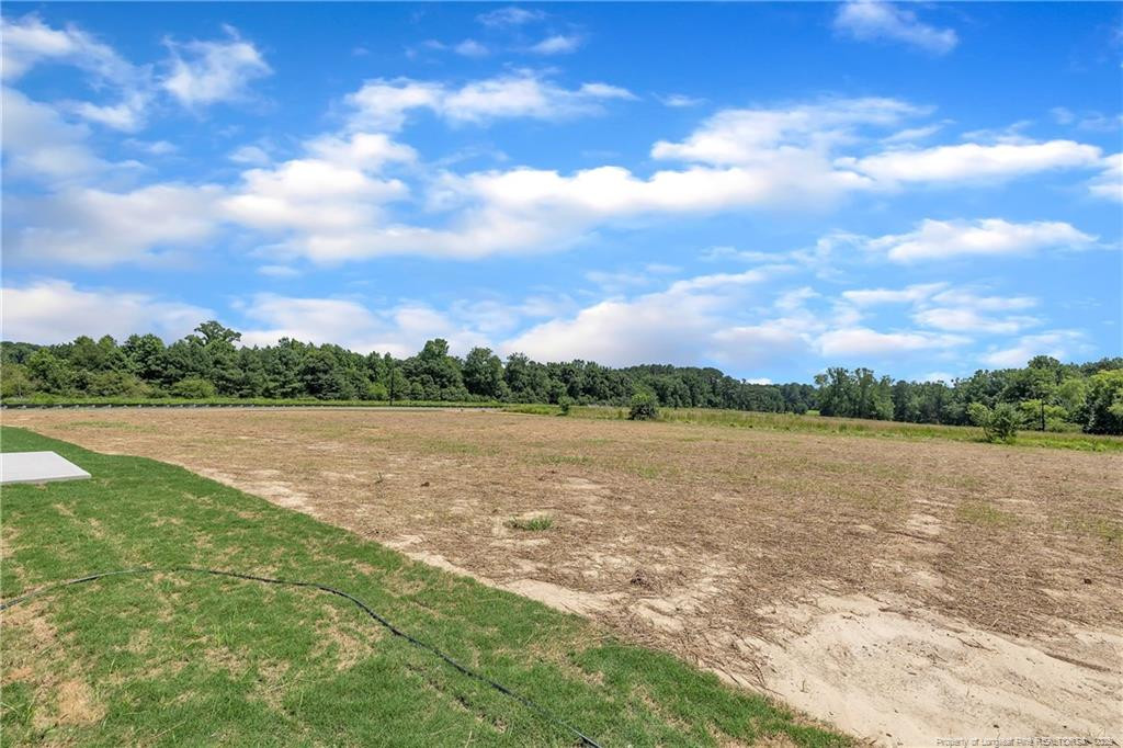 136 Camp Rock Road Lillington, NC 27546 - Photo 40 of 43 a view of lake with green space
