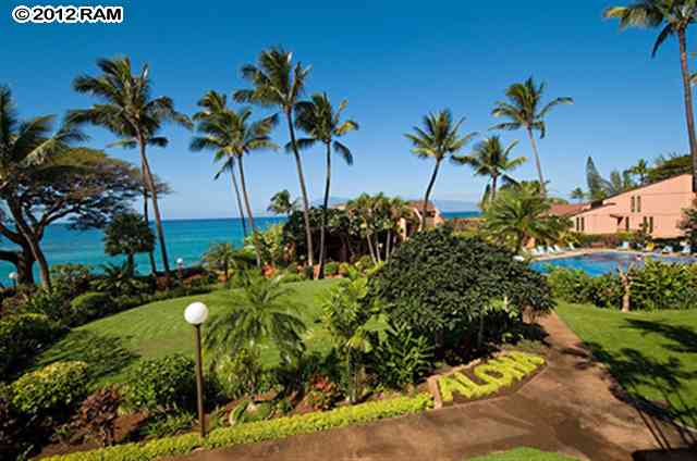 3959 Lower Honoapiilani Road, Unit 305 Lahaina, HI 96761 - Photo 13 of 16 a plant in the middle of a yard