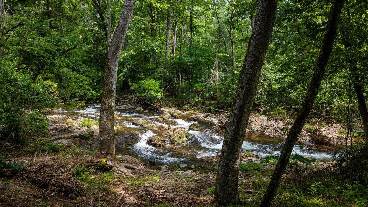 9458 Hopkins Gap Road Fulks Run, VA 22830 - Photo 36 of 74