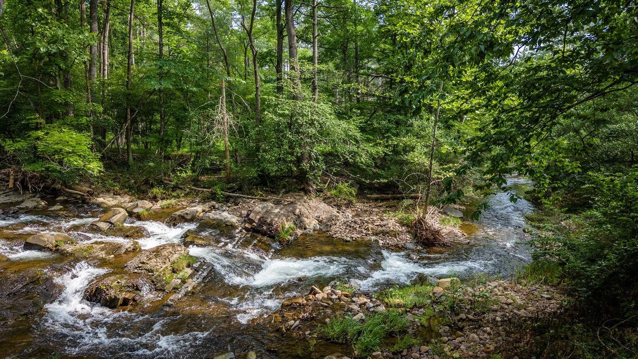 9458 Hopkins Gap Road Fulks Run, VA 22830 - Photo 37 of 74