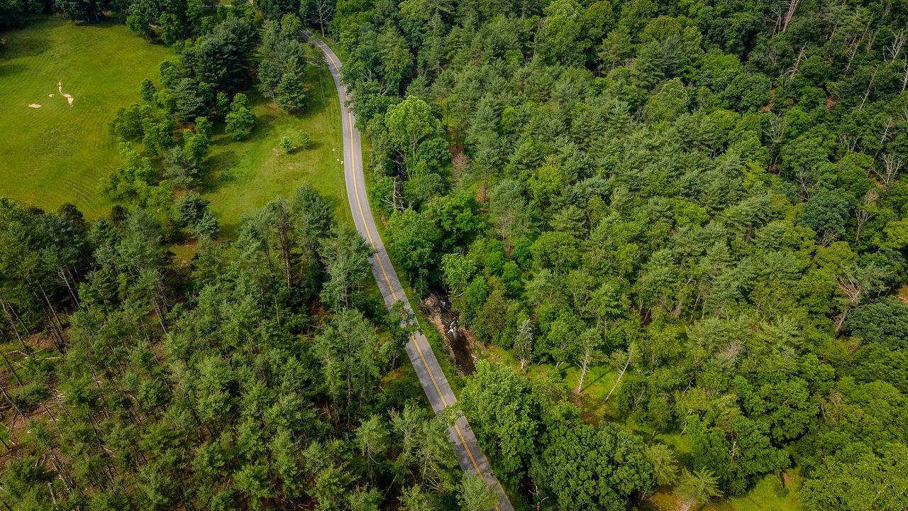 9458 Hopkins Gap Road Fulks Run, VA 22830 - Photo 38 of 74