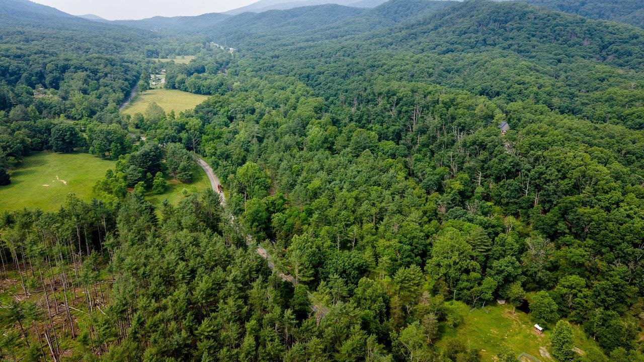 9458 Hopkins Gap Road Fulks Run, VA 22830 - Photo 39 of 74